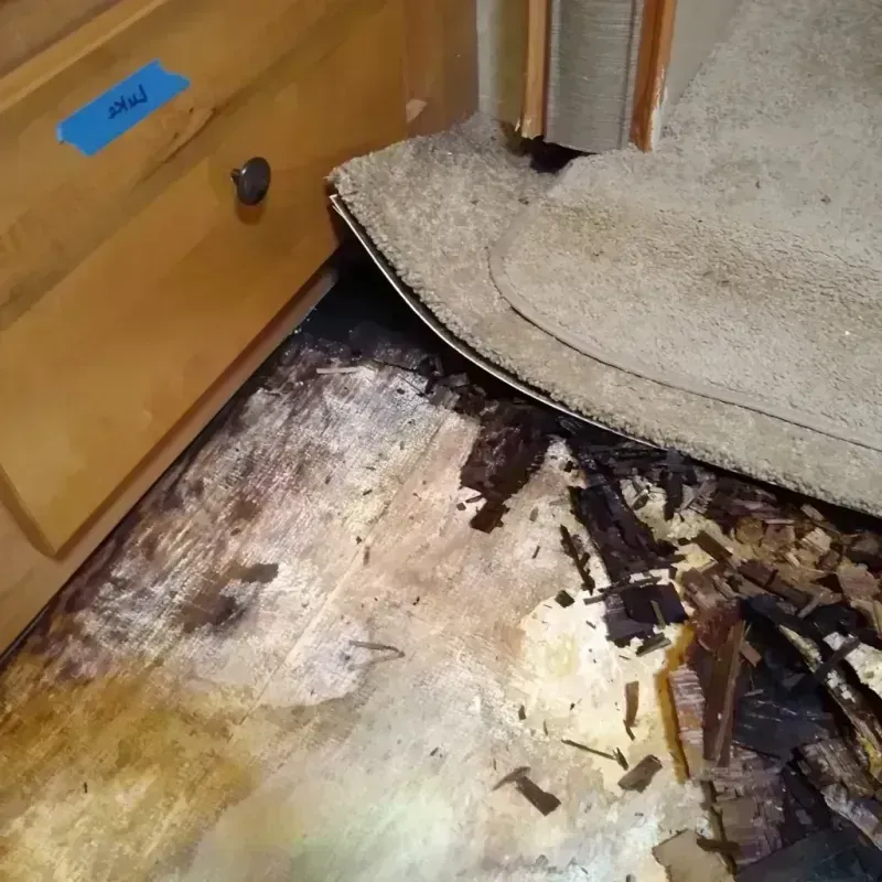 Best Wood Floor Water Damage Service in Pineville, LA